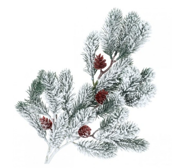 Christmas decoration - a snow-covered spruce branch with cones
