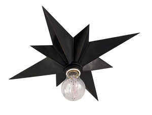 Star plafond by Eric Cohler 